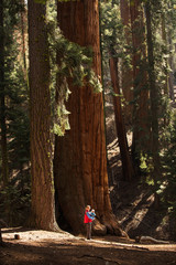 Mother with infant visit Sequoia national park in California, USA
