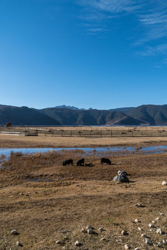 Napa Hai Nature Reserve: Archery Field In Deqen Tibetan Autonomous Prefecture, Yunnan, China.