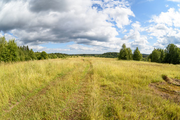 Open meadows of Karelia, summer, fisheye