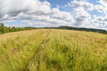 Open meadows of Karelia, summer, fisheye