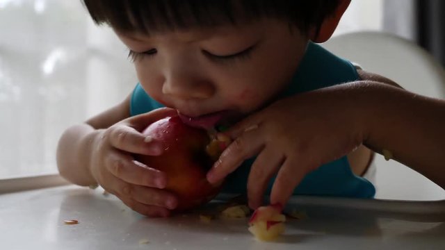 first time, cute child eating bite a apple