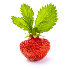 Ripe strawberry