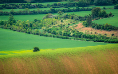 Fototapeta na wymiar Moravian fields near Nasedlovice, Moravia, Czech Republic