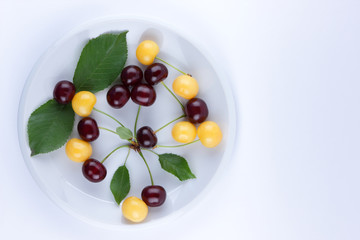 Red and yellow cherries on a white plate, fresh multicolored cherries with green leaves, yellow and red berries in the style of minimalism, vegetarian food