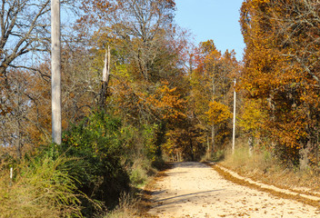 Lonely gravel country road in autumn disapearing into the overhanging trees with electric poles and a tree that has been struck by lightning
