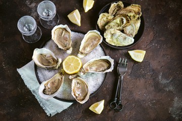 Fresh sea oysters on a large sea salt with lemon. Healthy food, gourmet food, restaurant food.
