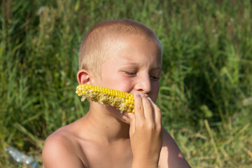 Adorable young boy eating corn