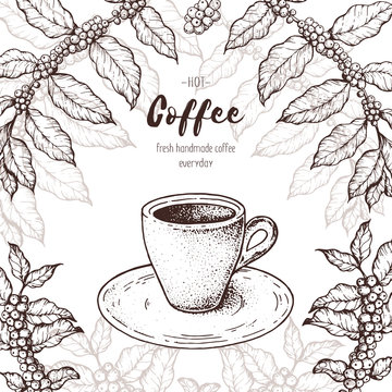 Coffee cup and coffee tree illustration. Vintage design for coffee shop. Engraved vector illustration. Espresso cup.
