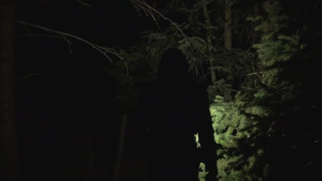 Man walks through dark woods with light