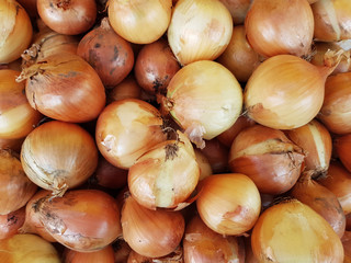 a lot of onions as a background