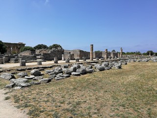 Paestum - Scorcio del Foro