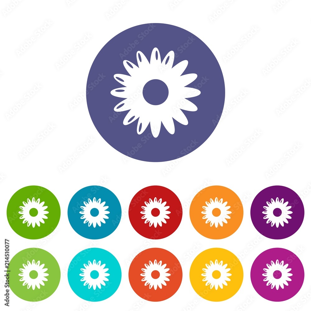 Aufkleber honey flower icons color set vector for any web design on white background