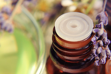 Lavender essential oil. Closeup macro dropper bottle detail with aromatic herb. Green and purple tones. Herbal scents.