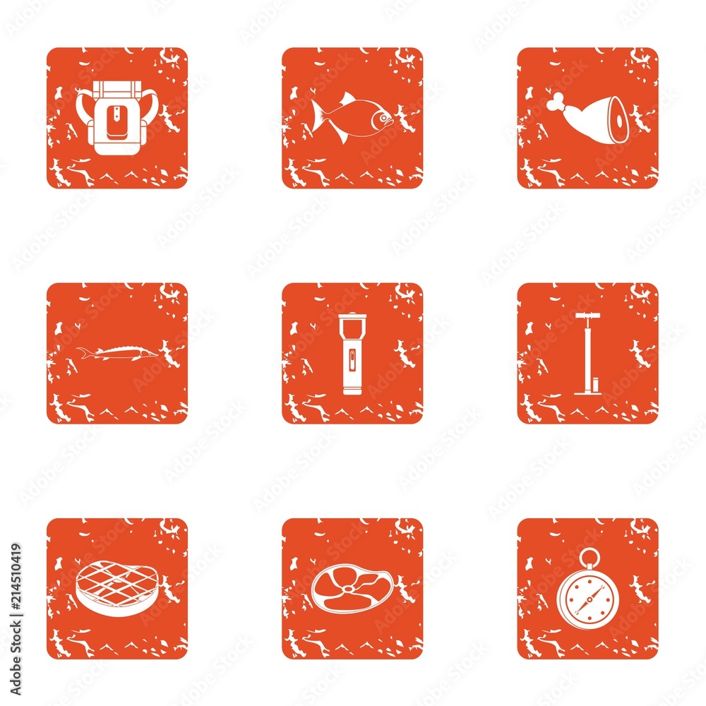 Poster piece of meat icons set. grunge set of 9 piece of meat vector icons for web isolated on white backgr