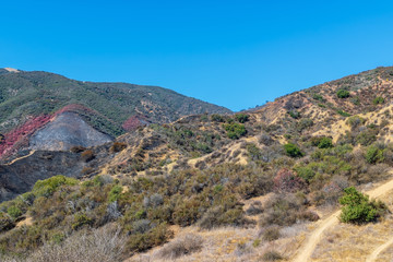 Mountain bike trails in Southern California mountains next to recent forest fire burn area