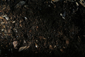 soil