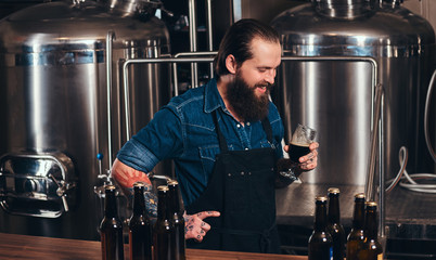 Bearded tattooed hipster male in a jeans shirt and apron working in a brewery factory, standing behind a counter, holds glass of beer for quality control.