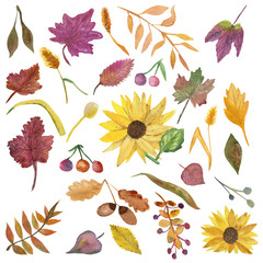 акварельный набор осенних ярких листьев, зеленых, красных, желтых красивых веточек , листьев, ягод , цветов.