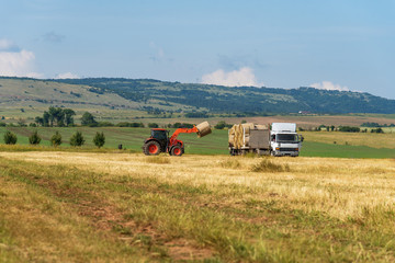 Tractor lifting hay bale on barrow. © ba11istic