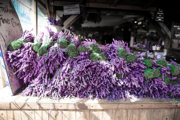 Lavender farm UK