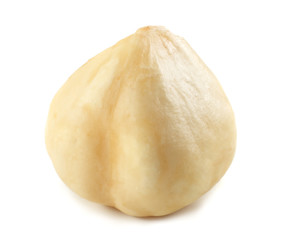 one hazelnut isolated on a white background. macro