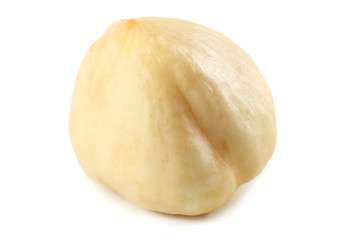 one hazelnut isolated on a white background. macro