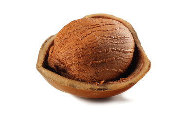 one hazelnut isolated on a white background. macro