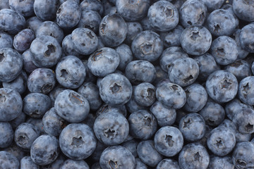 healthy background. blueberry texture. blueberries background. fruit background.