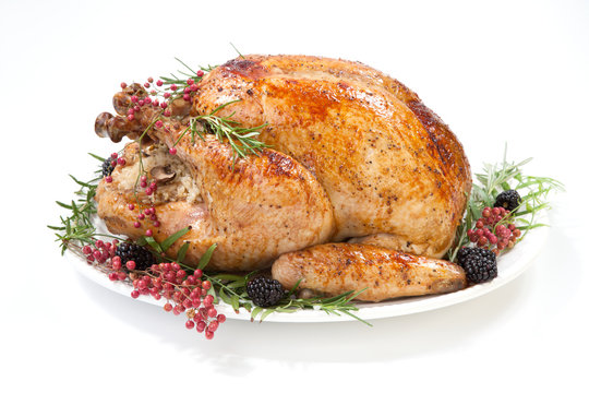 Thanksgiving Turkey on White