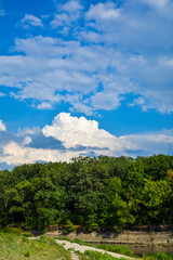 Obraz premium Summer landscape - trees, beautiful white clouds and blue sky.