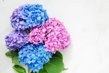 Photo sur Plexiglas Hortensia hydrangea flowers bouquet over white marble table with copy space. top view