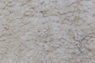 sheep wool texture