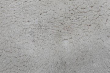 sheep wool texture