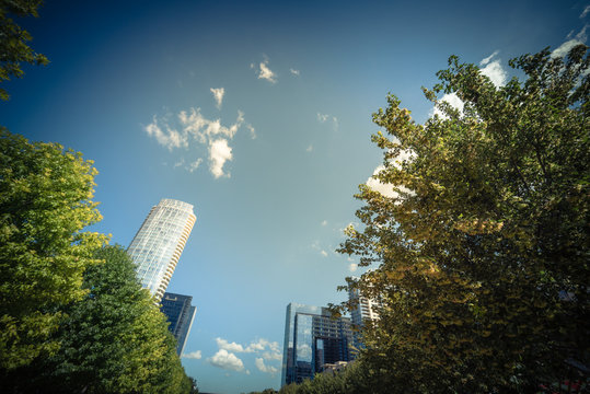 Beautiful green urban park in downtown Dallas in sunny day. Low angle view tree lush canopy with modern buildings in background cloud blue sky. Public recreation and outdoor activities concept
