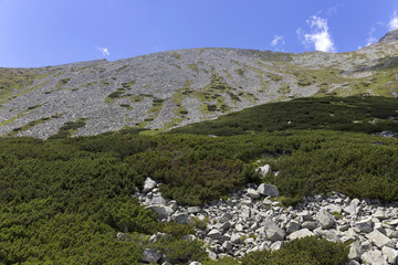 View on the mountain Peaks of the High Tatras, Slovakia