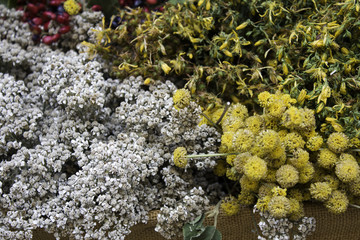 Herbal Medicinal Herbs