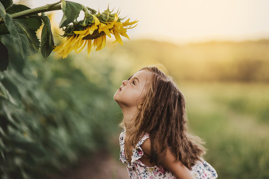 Child and sunflower, summer, nature and fun. Summer holiday.