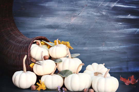Thanksgiving or Halloween cornucopia or Horn of Plenty against a dark background with mini white pumpkins, acorn and Autumn wildflowers spilling out. Free space for text.