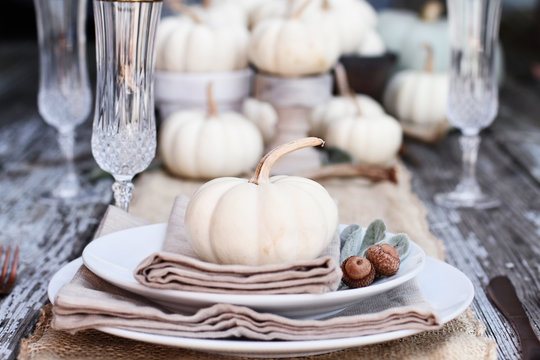 Place setting on a rustic farmhouse country table with mini white pumpkins, and crystal glasses for Thanksgiving Day or Halloween.