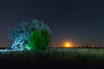 moonrise of a summer night / night scenery for the city field
