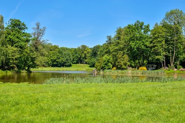 Beautiful spring landscape. Colorful flowers and greenery at the pond in the park.