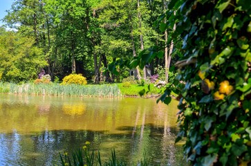 Beautiful spring landscape. Colorful flowers and greenery at the pond in the park.