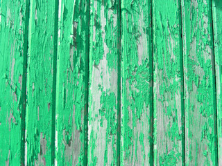 Fototapeta na wymiar Green wooden wall with worn paint vertical
