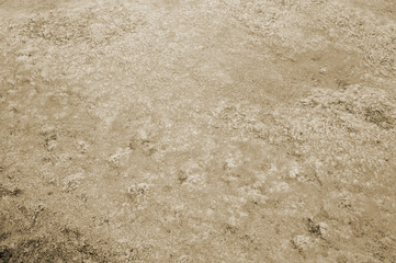 Texture abstraction of water and algae at the bottom of a drained pond. Toning