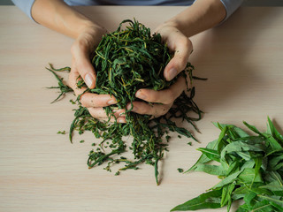 Stages of production of fermented tea leaves. Fermented Ivan-tea.