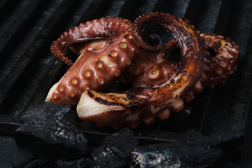 octopus grill bbq © sutulastock