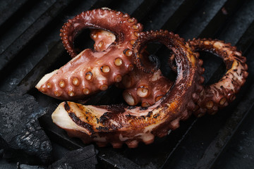 octopus grill bbq © sutulastock