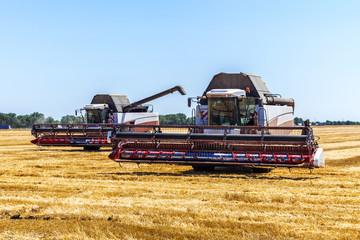 Harvester machine to harvest wheat field working. Combine harvester agriculture machine harvesting...