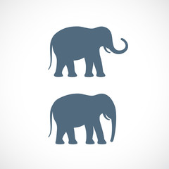 Fototapeta premium Elephant vector shape