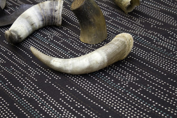 Horns animal ivory